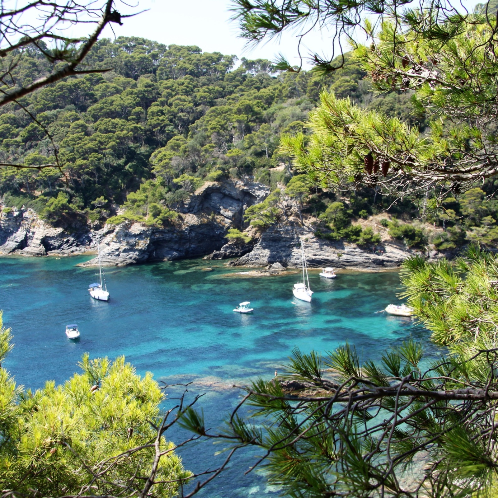 The beauty of the Giens Peninsula and the Golden Islands - LOustau de la  mar