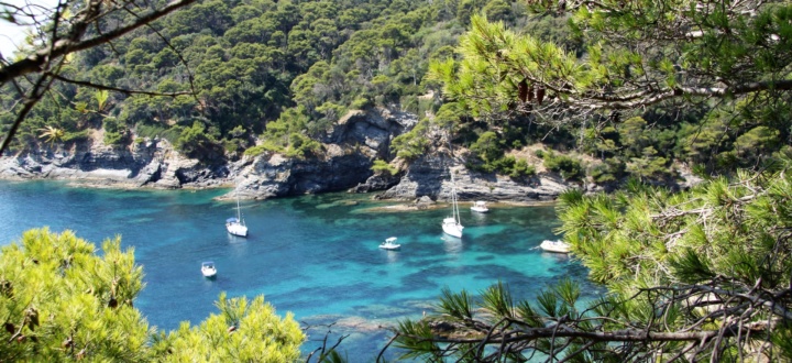 une calanque en été a giens