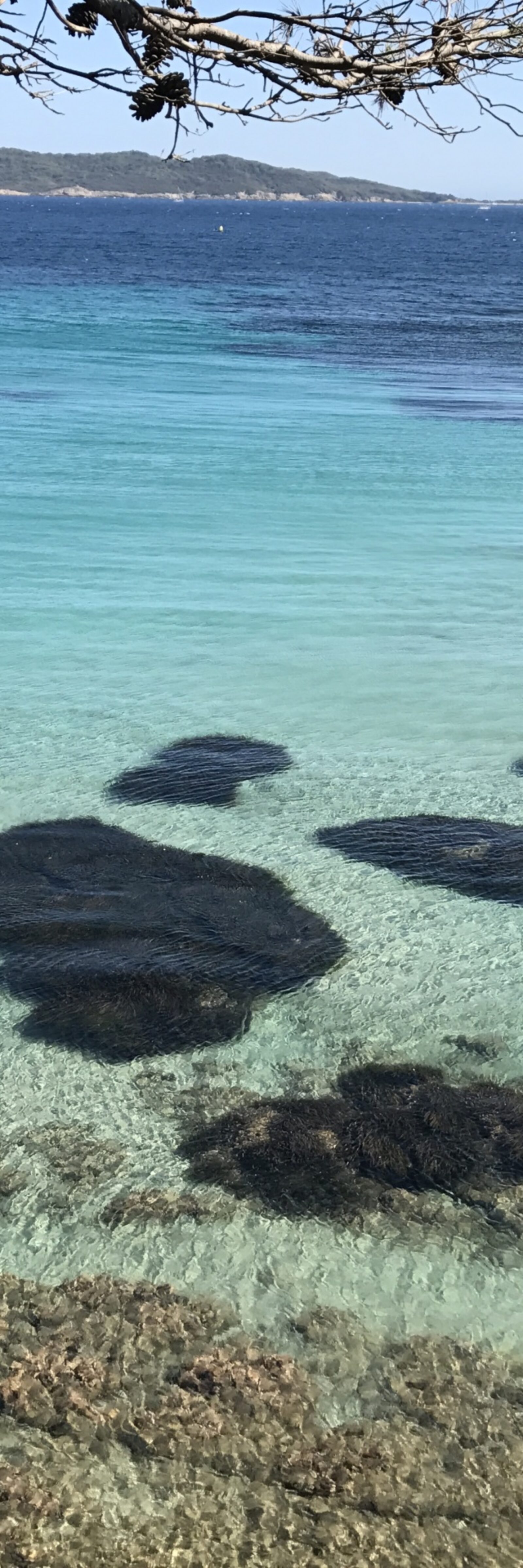transparence-de-la-mediterranéée