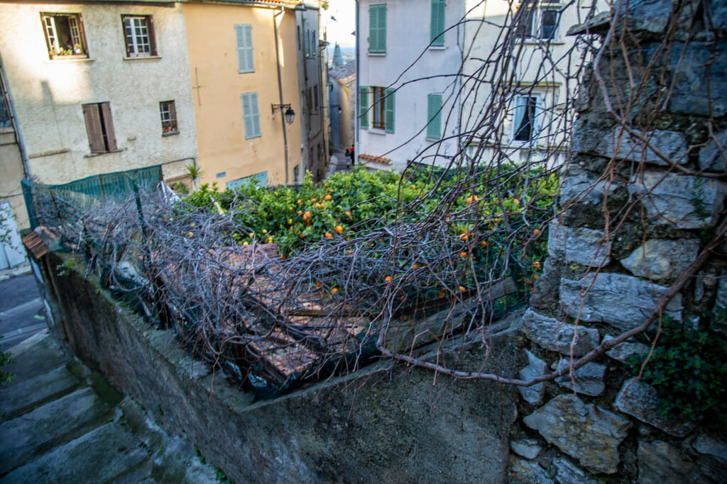 orangers-vieille-ville-hyeres