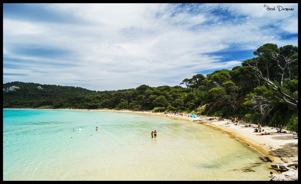 Plage Notre Dme à Porquerolles