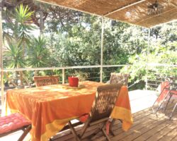 Côté Pinède- la terrasse